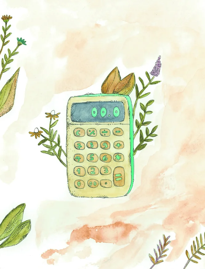 Livro | Eu sei gerir dinheiro | Livro 3 | Coleção de literacia financeira para crianças e jovens - calonodedo