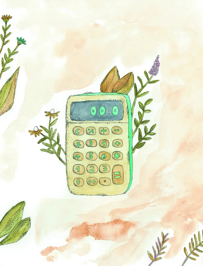 Livro | Eu sei gerir dinheiro | Livro 3 | Coleção de literacia financeira para crianças e jovens - calonodedo